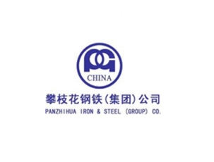 攀枝花钢铁（集团）公司